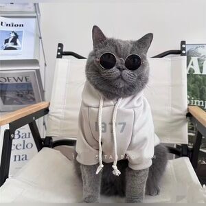 ESSENTIALS 1977 Hoodie | Cats or Dogs
